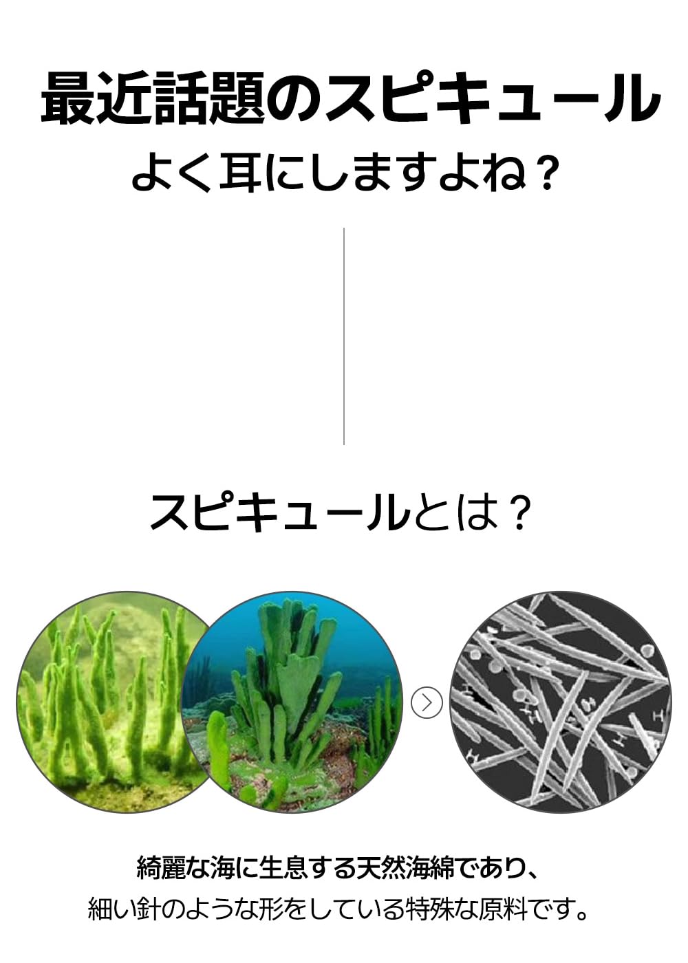 Amazon | IT'S SO ME コラーゲン シカ スピキュル 3000 美容クリーム